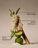 Bath & Body Works
 SALTED SHORELINES CREMA CORPORAL 226g