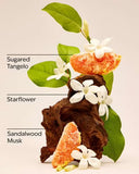 Bath & Body Works
 IN THE STARS FRAGANCIA CORPORAL 236 ml