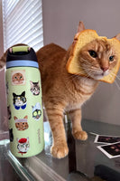 PREORDEN Owala UO Exclusive FreeSip 32 oz Cat Collage